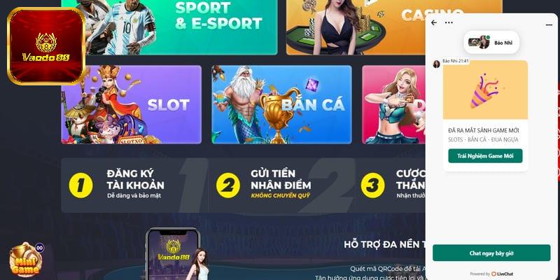 Vando88 cung cấp đến cho khách hàng dịch vụ cá cược chuyên nghiệp
