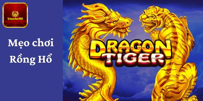 Mẹo chơi Rồng Hổ không thể thua bằng cách đánh sát nút