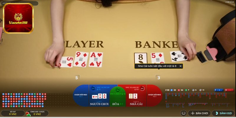 Thông tin về cửa cược trong Baccarat