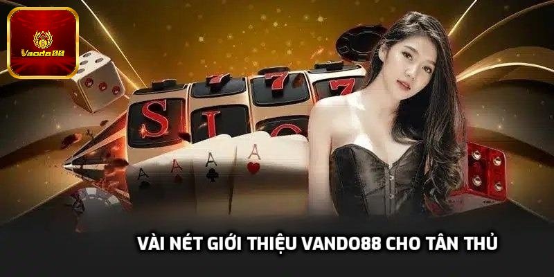 Vài nét giới thiệu Vando88 cho tân thủ